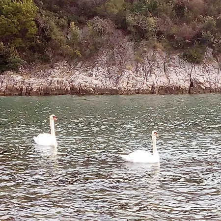 Al Pescatore Contento