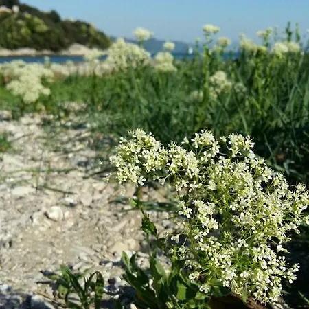 Al Pescatore Contento Bed & Breakfast Villaggio del Pescatore